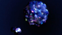 Artist's conception of nuclei, blue-colored nuclei made of spherical protons and neutrons with red, green & blue quarks visible