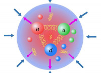 A depiction of how equilibrium is maintained in hadrons, featuring Illustration of a proton with up and down quarks and gluons depicted by springs.