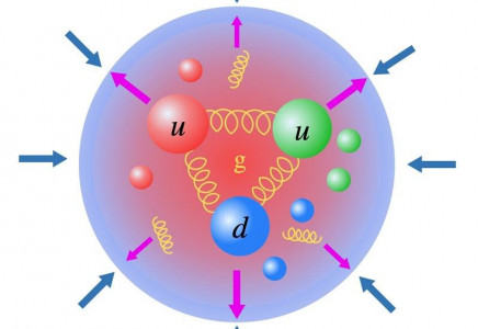 A depiction of how equilibrium is maintained in hadrons, featuring Illustration of a proton with up and down quarks and gluons depicted by springs.